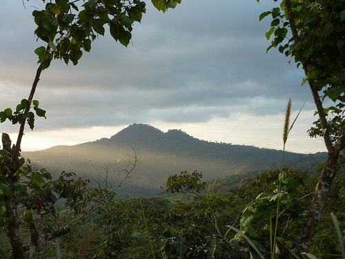 Биосферный заповедник Босавас